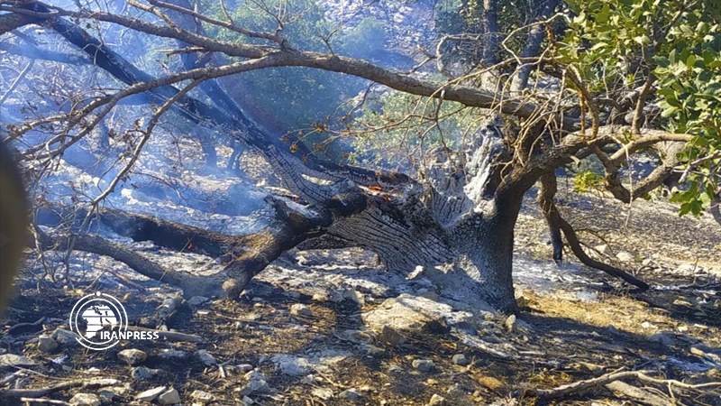 Iranpress: صور جديدة عن حرائق غابات "خائيز"