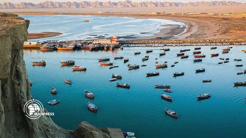Iranpress: تصدير 3 آلاف طن من الأحياء المائية من جابهار 