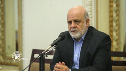 US pressure has no impact on Iran-Iraq ties: Envoy