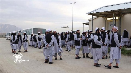 900 Taliban prisoners to be released early