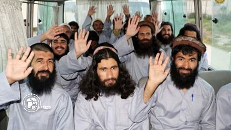 Iranpress: الإفراج عن ألف عنصر من طالبان في أفغانستان