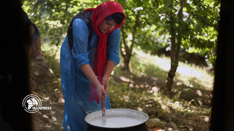 Iranpress: Tarkhineh; Traditional food of Iranian Kurds