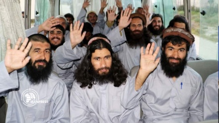 Afghan government has freed 3,000 Taliban prisoners 