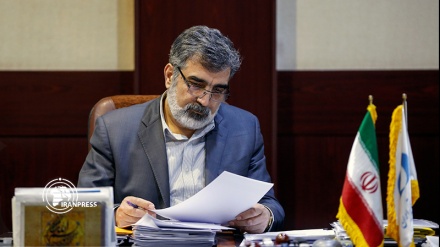 AEOI Spokesman elaborates on legal aspects of IAEA request from Iran