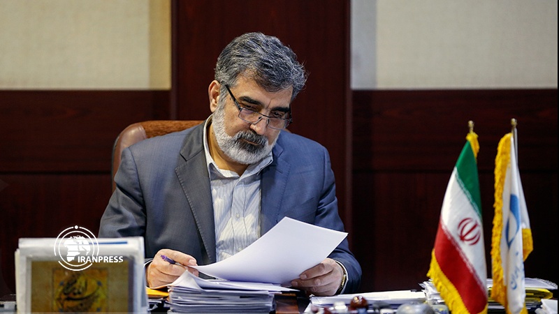 Iranpress: AEOI Spokesman elaborates on legal aspects of IAEA request from Iran
