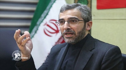 Reason for US maximum pressure is Iran's defense of rights of nations: Official