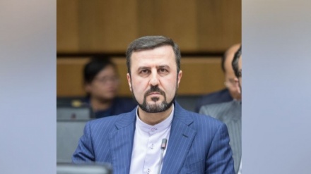 'Political decisions undermine Iran-IAEA cooperation': Envoy