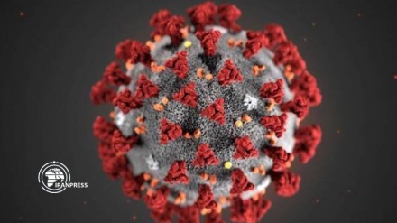 US hits record high for new  Coronavirus cases