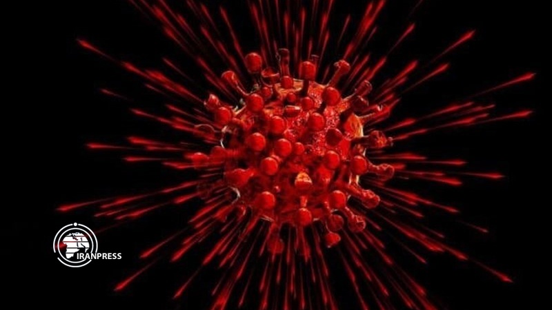 Iranpress: US coronavirus death toll passed 110,000