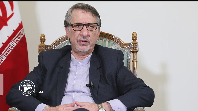 Iranpress: Unlawful sanctions play havoc with anti-drug campaign: Deputy FM