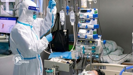 Global coronavirus death toll passes 479,000