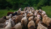 Opert, eye-cathing view between Semnan, Mazandaran / Photo by Seyed vali shojaei langari