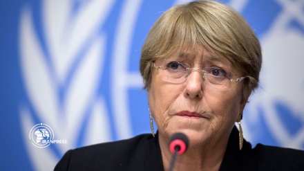 'Annexation Is Illegal. Period': UN Rights Chief