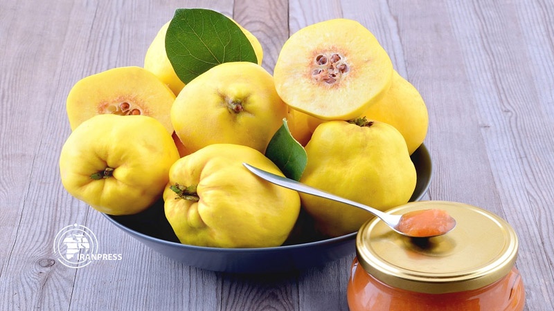 Iranpress: Iran, fourth producer of Quince in world