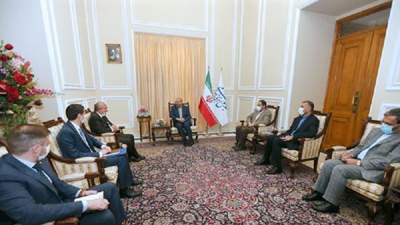 Iranpress: Speaker stresses on developing Tehran-Moscow economic ties