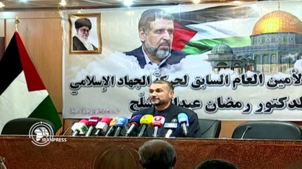 Zionist regime has no logic, except belligerence, aggression: Amir Abdollahian