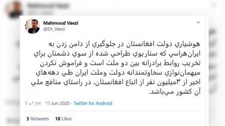 Vaezi: Afghanistan should be ware of enemies' scenario of Iranophobia