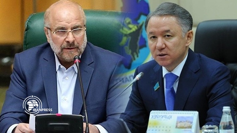 Iranpress: Kazakhstan stresses parliaments