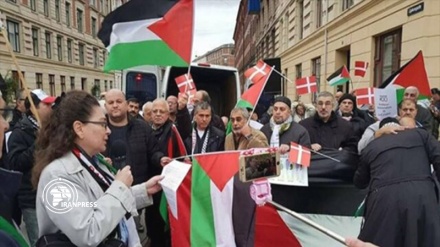  Danish people protest against West Bank annexation plan