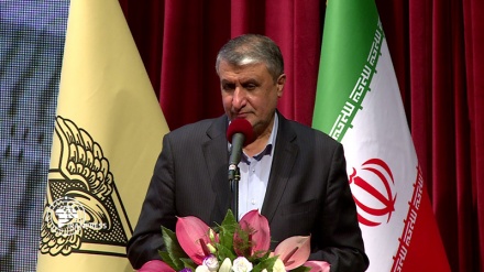 Iran seeks door-to-door distribution of foods: Minister