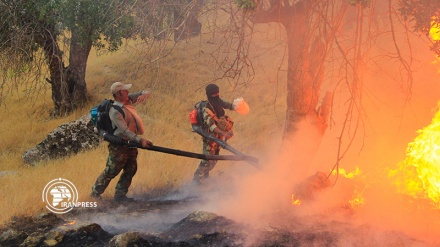 Efforts continue to control forest fires in southwestern Iran