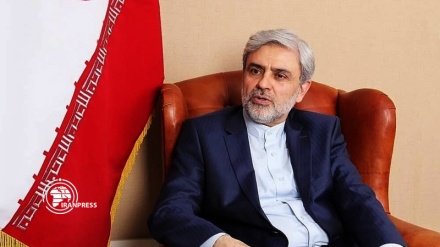 Iran ready to cooperate with Pakistan to confront border threats: Envoy