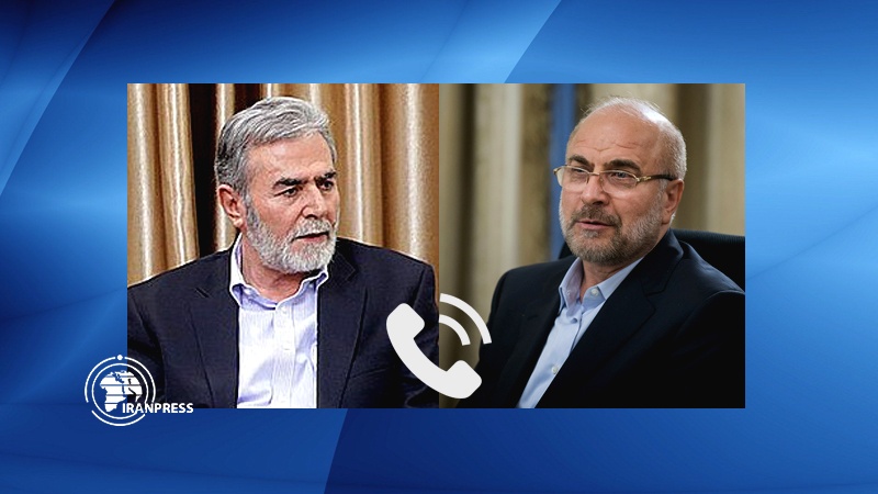 Iranpress: قاليباف يؤكد وقوف إيران الى جانب الفلسطينيين في وجه مؤامرات الاحتلال