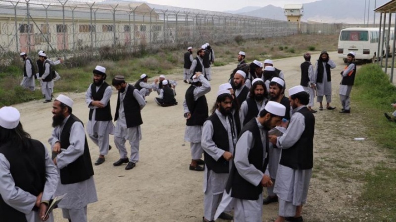 Iranpress: عودة بعض عناصر طالبان المفرج عنهم إلى ساحات المعركة