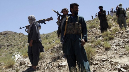 Airstrike kills number of Taliban members in Afghanistan 