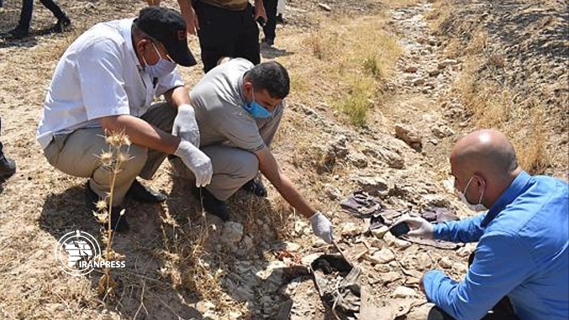 Iranpress: اكتشاف مقبرة جماعية في العراق .. آثار جرائم داعش لاتزال مستمرة + فيديو