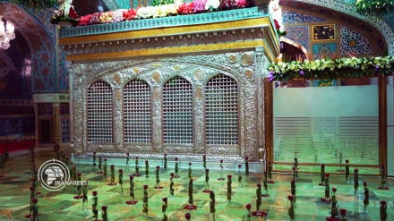 Holy mausoleum of Imam Reza (A.S) in Mashhad showered with flowers in his birth anniversary 