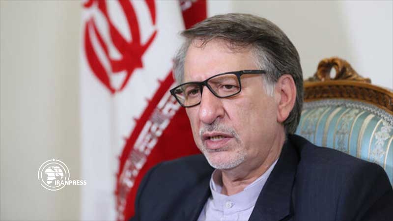 Iranpress: Iranian delegation to leave for Ukraine on plane crashed: Dep. FM