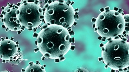 Latest statistics of Coronavirus tolls in US and the world