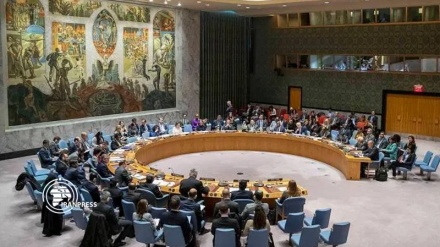 UNSC rejected Russia's resolution on trans-border aid to Syria