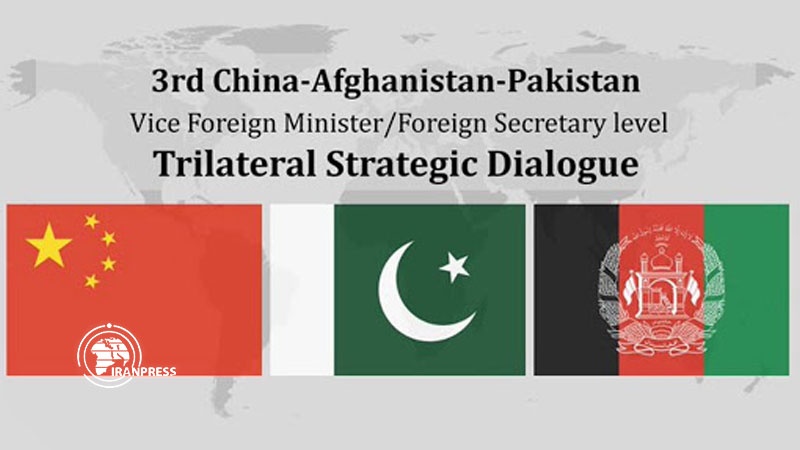 Iranpress: China, Pakistan support Afghanistan