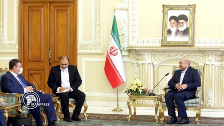 Iran expresses readiness to expand parliamentary cooperation with Russia