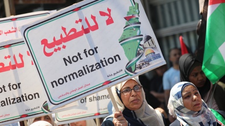 Anti-normalization groups set up in UAE to counter Israel peace deal
