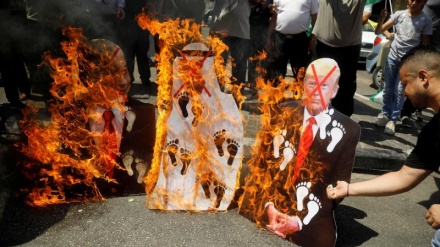Palestinians set bin Zayed photo on fire at al-Aqsa