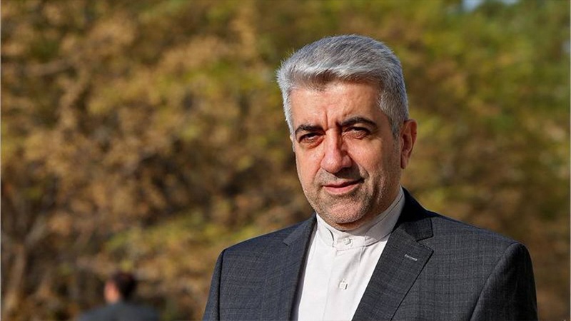 Iran Minister of Energy Reza Ardakanian