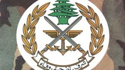 جيش لبنان يحذر بعض المتظاهرين الذين تجاوزوا الاطر السلمية للتظاهرات