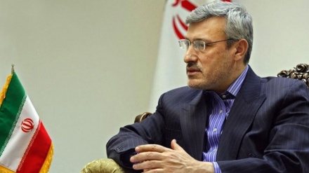UK must apologize to Iranian for 1953 coup: Baeidinejad