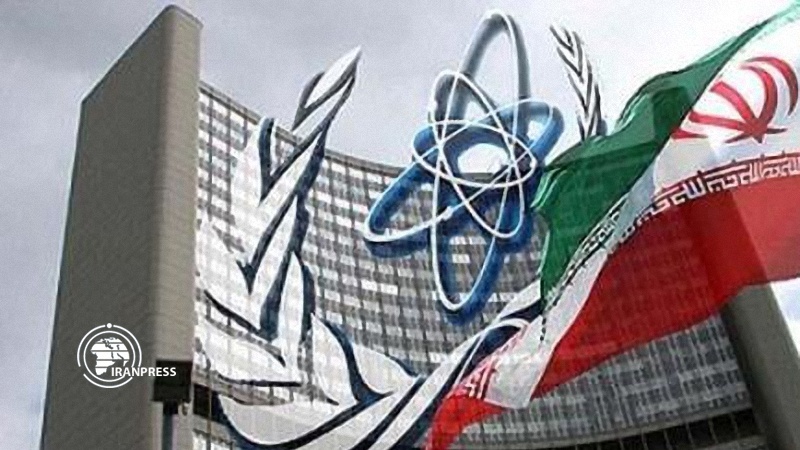 Iranpress: Iran, IAEA agreed on nuclear inspection 
