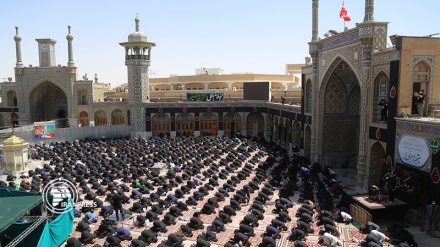Imam Hussein mourners offer noon prayer of Ashura in Qom