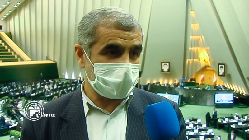 Iranpress: Parliament must be financially productive: Senior MP