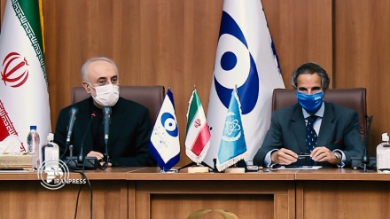 IAEA's DG met with head of AEOI