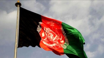 Afghan government to issue ID cards to Afghan immigrants in Iran