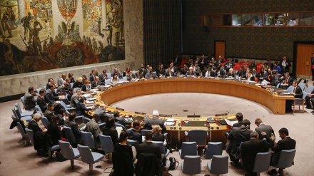 UN Security Council condemns mutiny in Mali