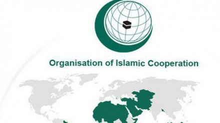 OIC: international community must take action to counter Israeli regime