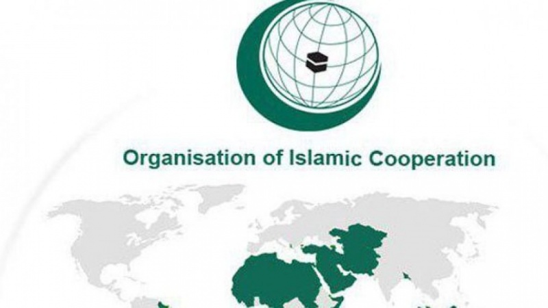 Iranpress: OIC: international community must take action to counter Israeli regime