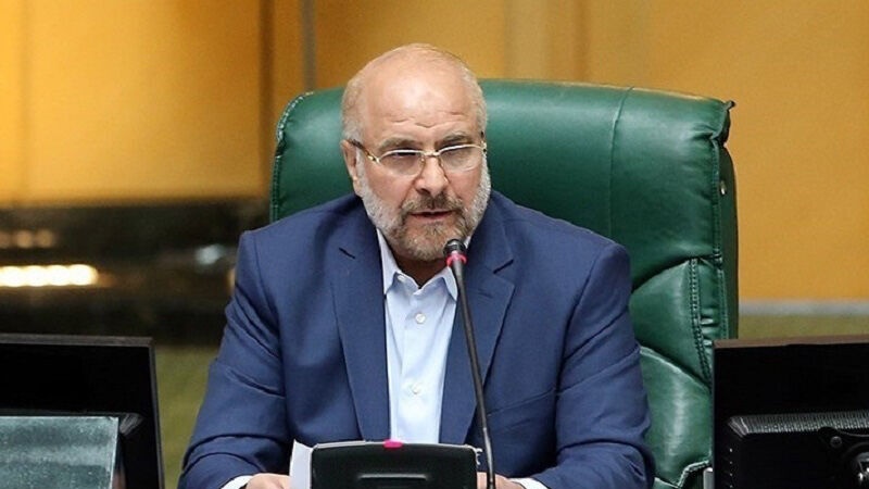 Iranpress: رئيسا البرلمان الإيراني والباكستاني يؤكدان ضرورة تنمية العلاقات
